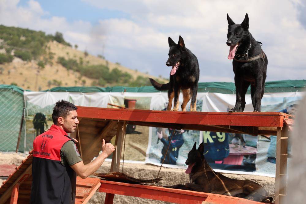 Konya’da zorlu eğitimden geçirilen köpekler afetlerde görev alıyor 3